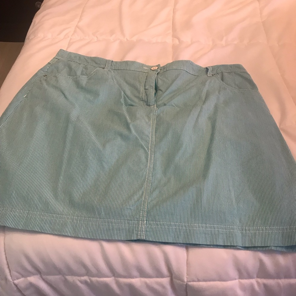 Ladies skirt